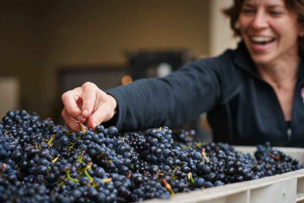 Heidi smiling & reaching for a grape cluster