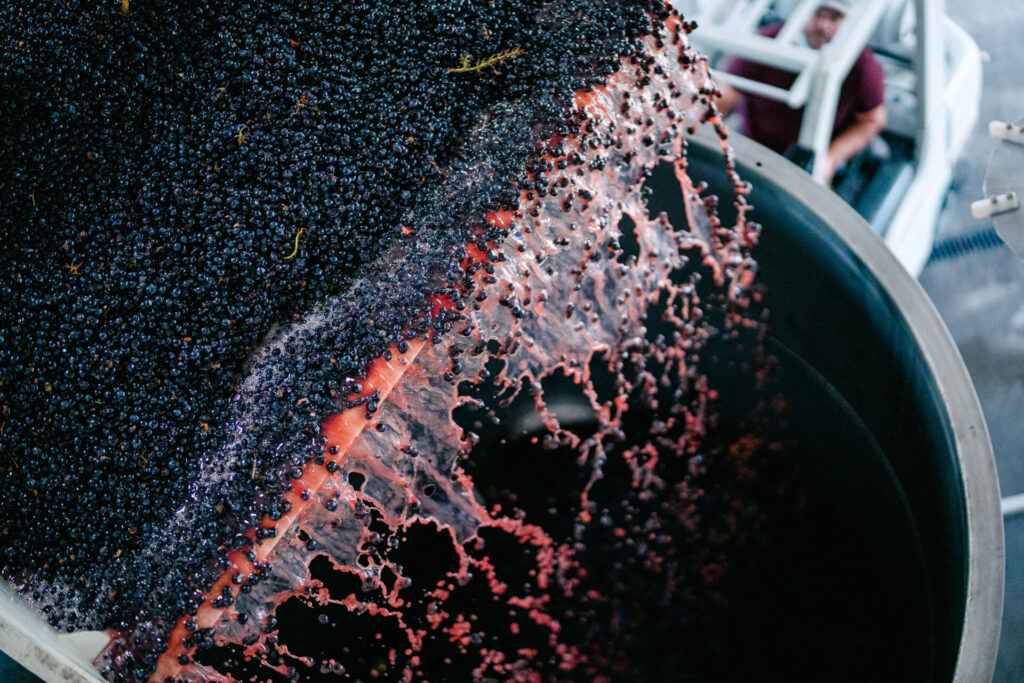 grape juice pouring into tank