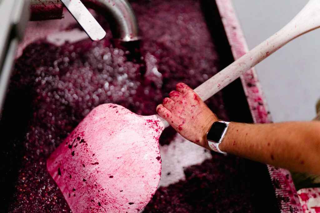 hands with paddle stirring grapes in vat