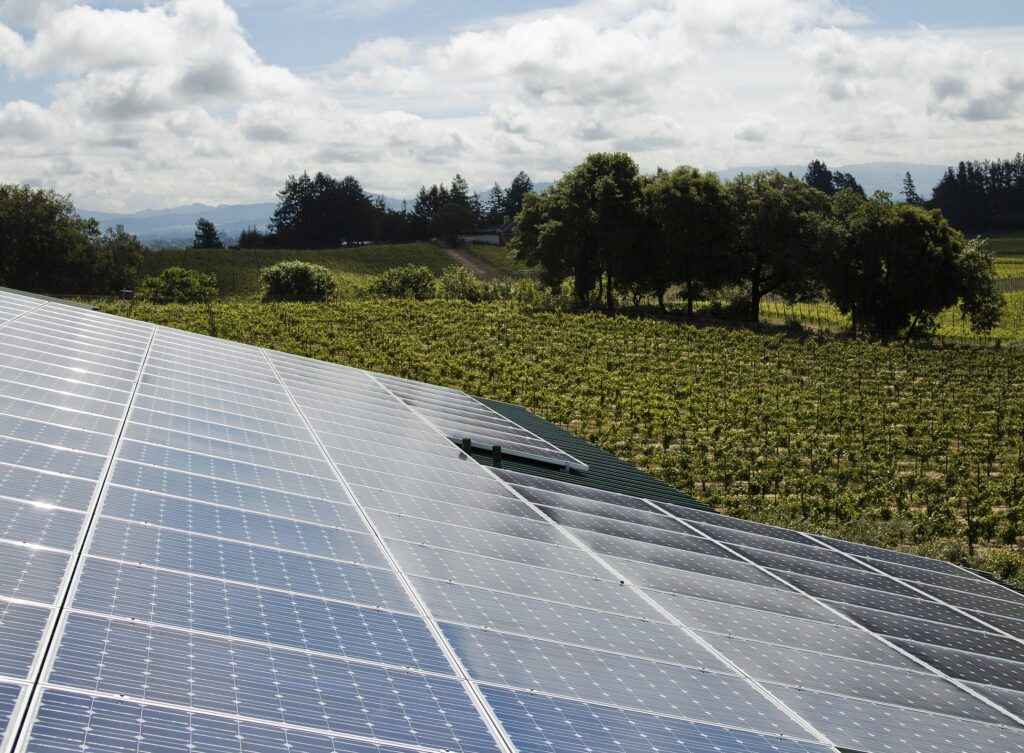 Eastern view from atop the winery's solar array.